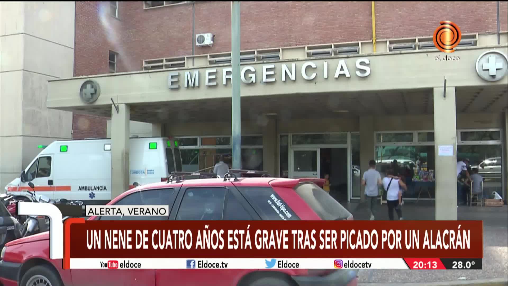 Un nene está muy grave tras ser picado por un alacrán