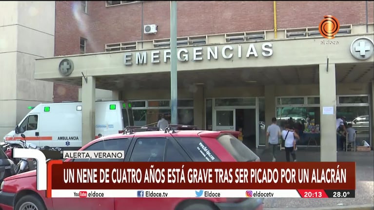 Un nene está muy grave tras ser picado por un alacrán