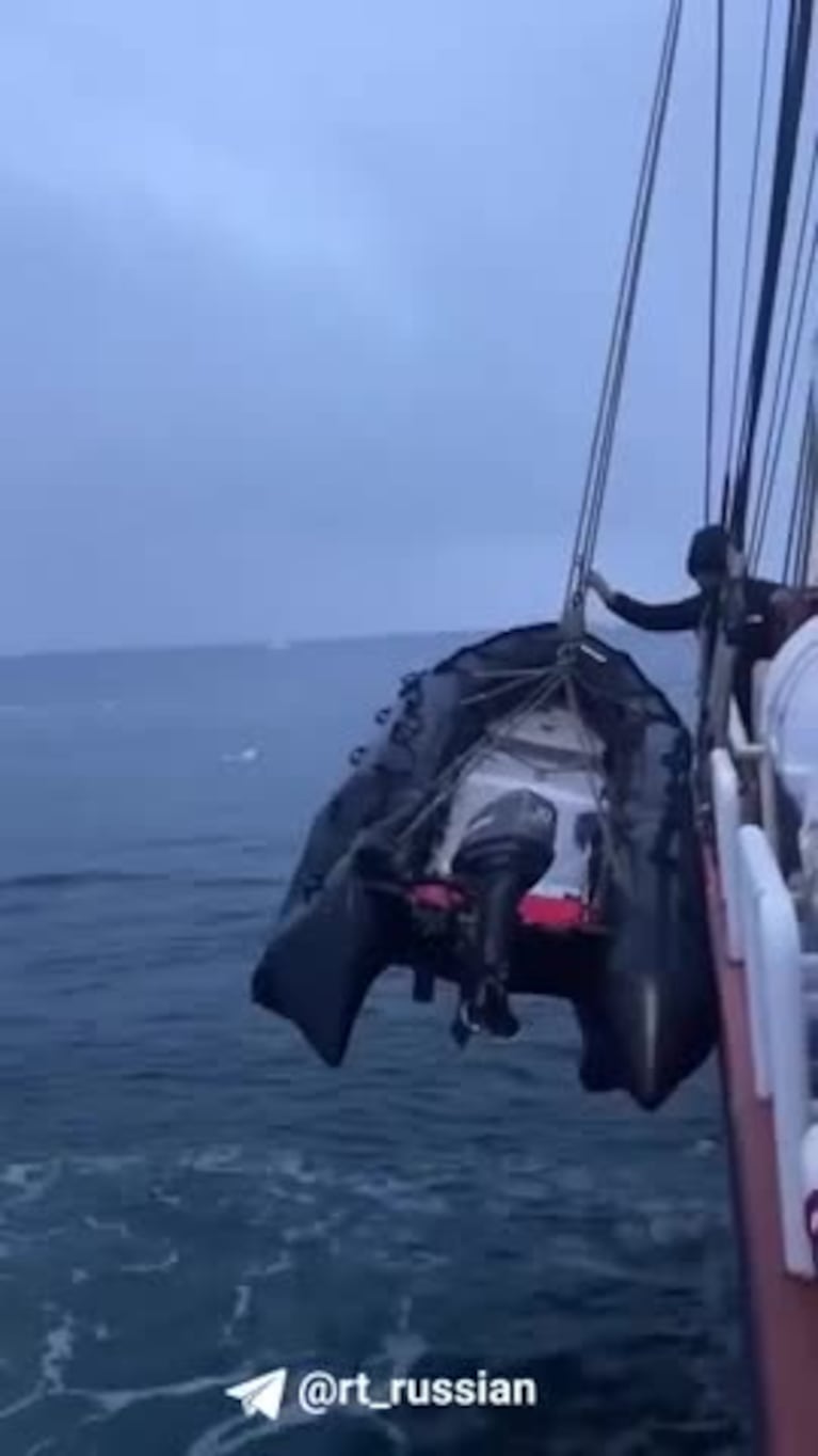 El brutal ataque de una morsa a un bote inflable