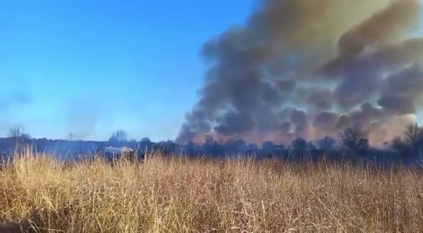 Incendio en la zona del Tiro Federal de Córdoba