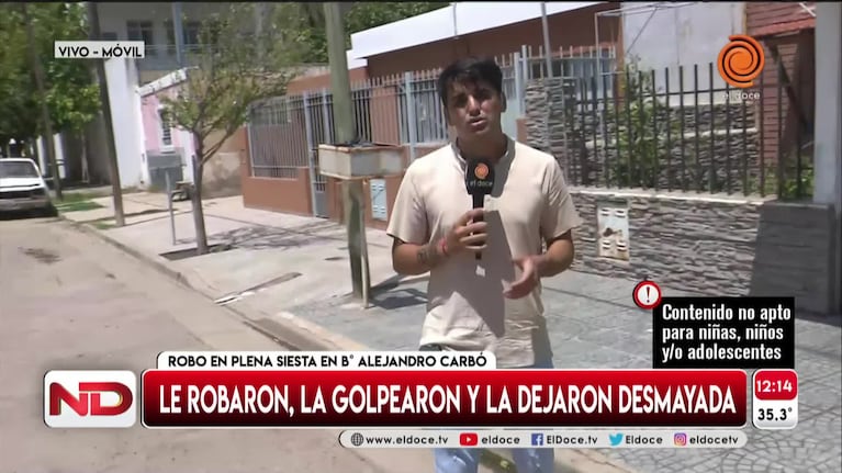 Brutal asalto a una mujer: la golpearon hasta desmayarla