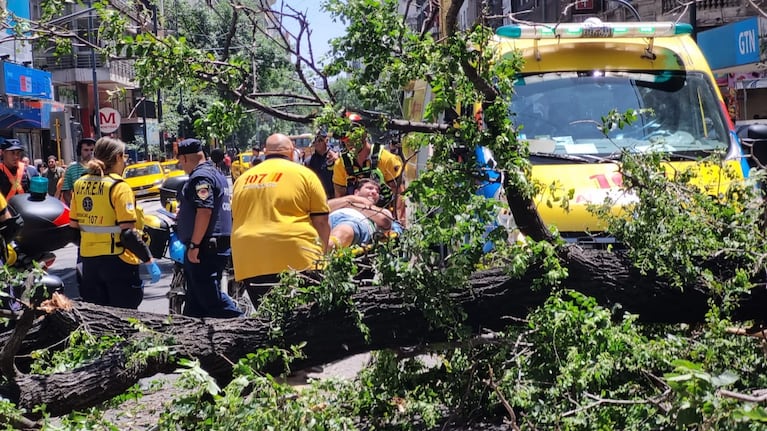 Video: se cayó un árbol en pleno centro de Córdoba y aplastó a un motociclista
