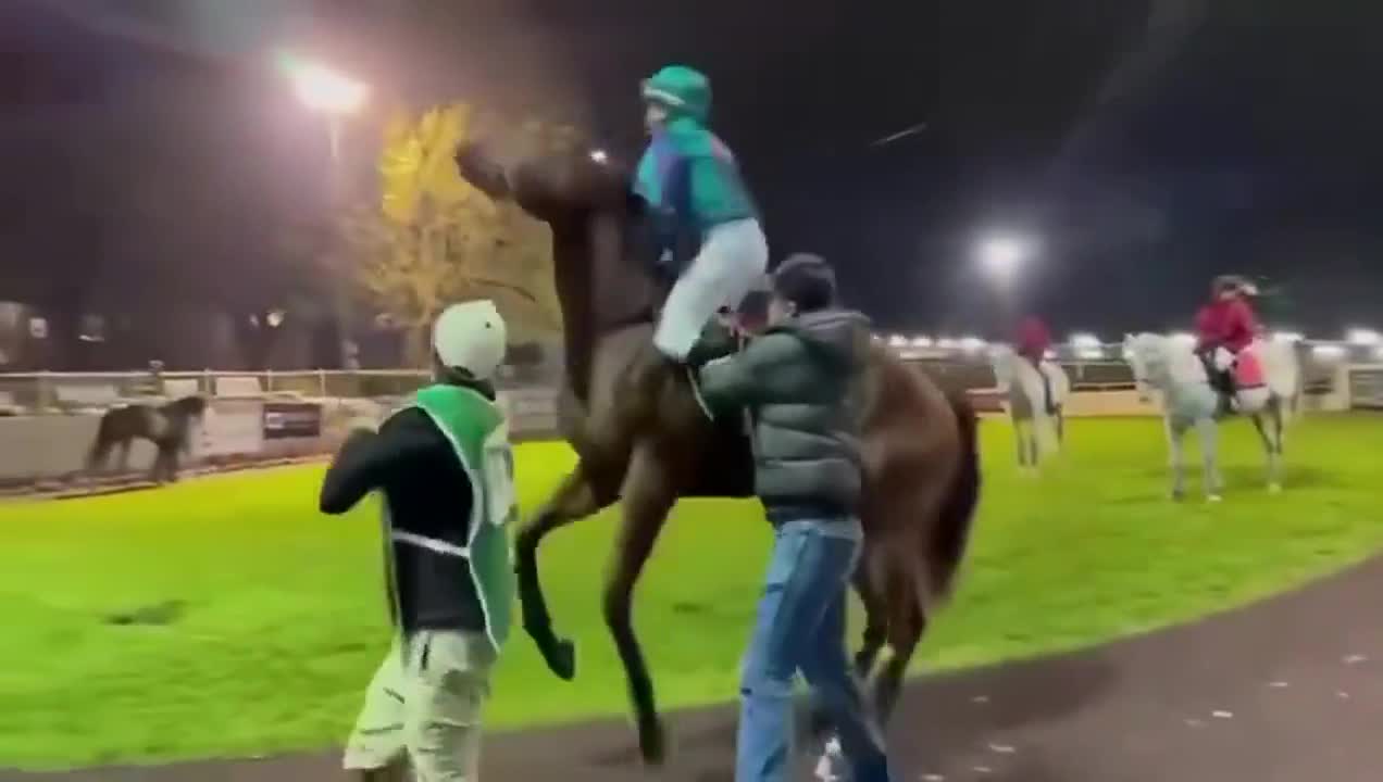 Inesperado golpe de caballo a jinete