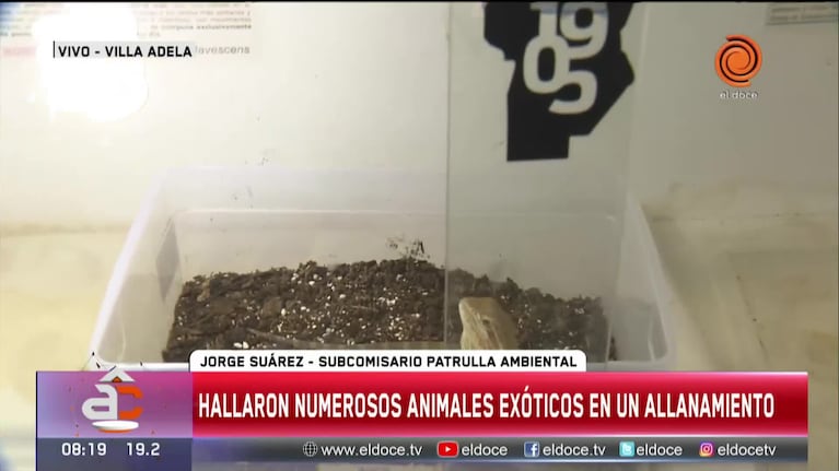 Hallaron numerosos animales exóticos en una casa de Córdoba