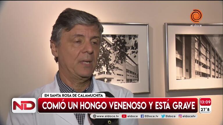 Un turista está grave por comer un hongo en Calamuchita