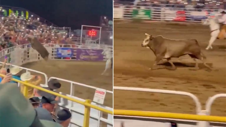Video: en pleno festival, un toro saltó a la tribuna y revoleó a tres personas por el aire