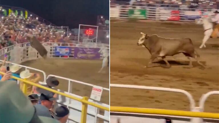 Video: en pleno festival, un toro saltó a la tribuna y revoleó a tres personas por el aire