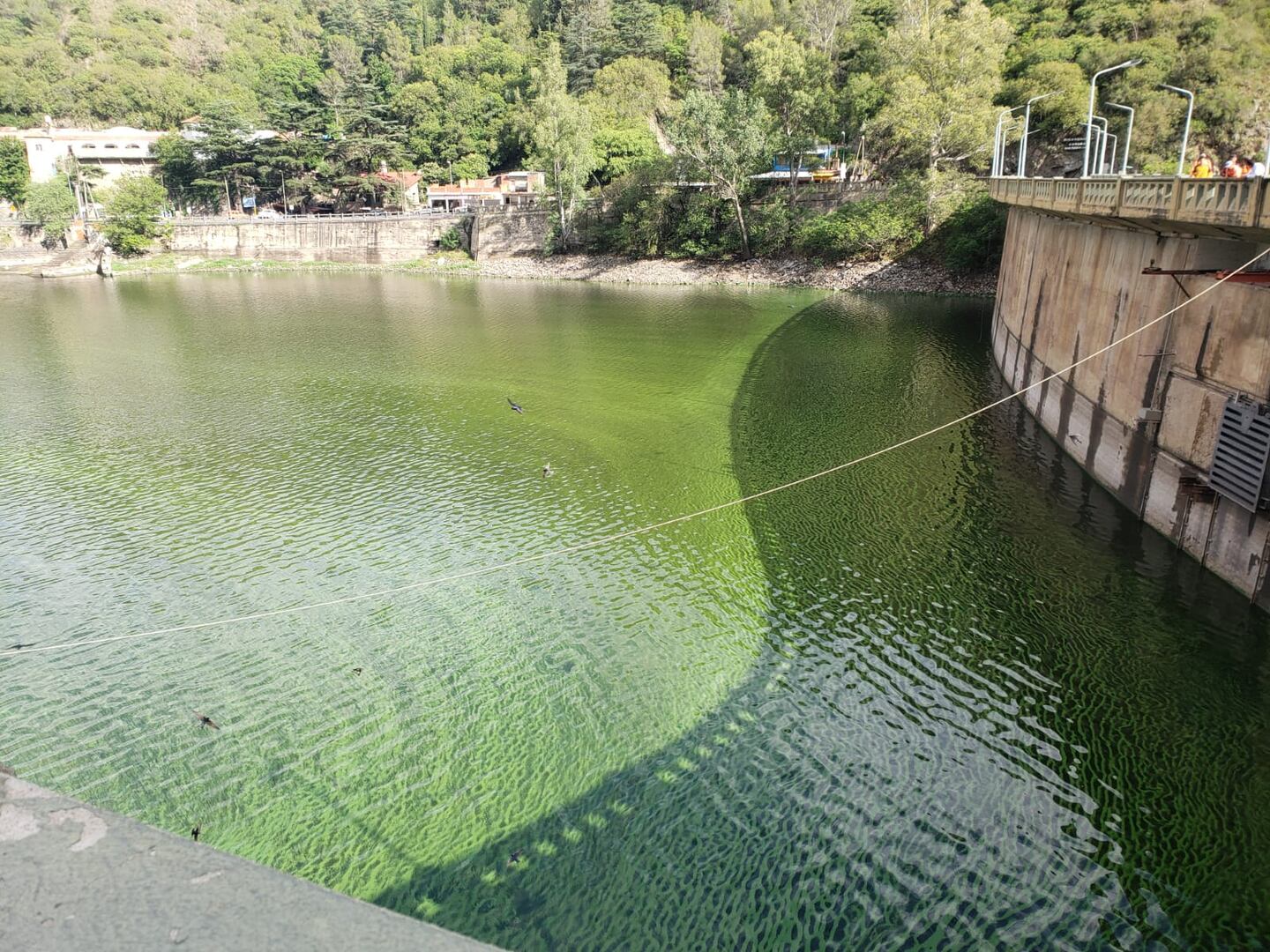 contaminacion san roque