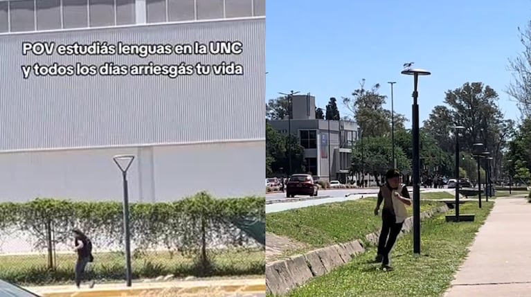 Video Placeholder