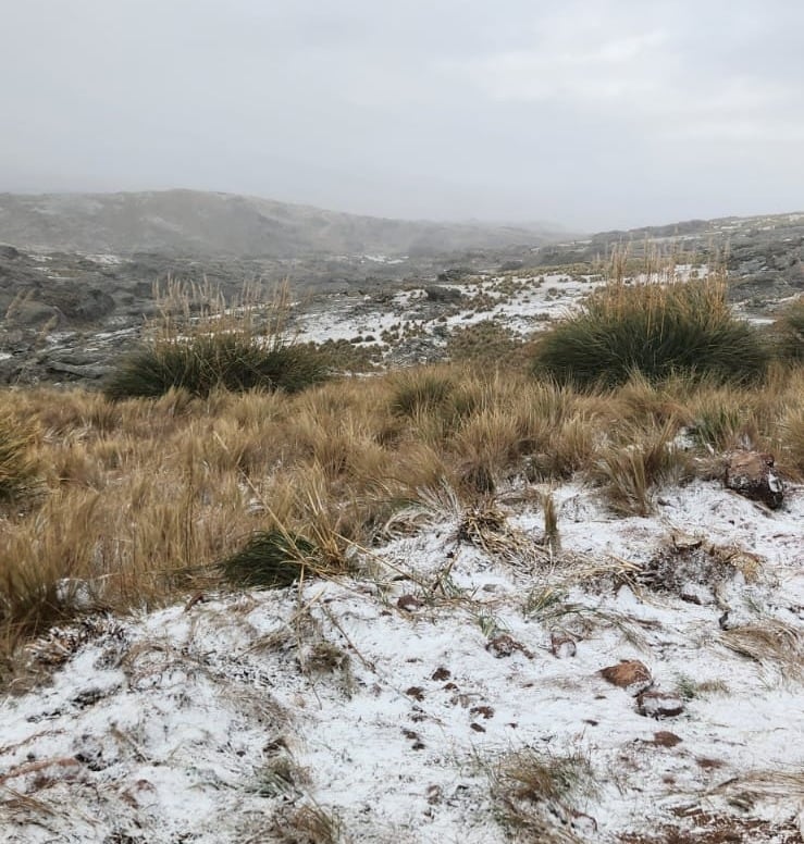 La primera nevada del 2025 desde una escuela ubicada en las Altas Cumbres