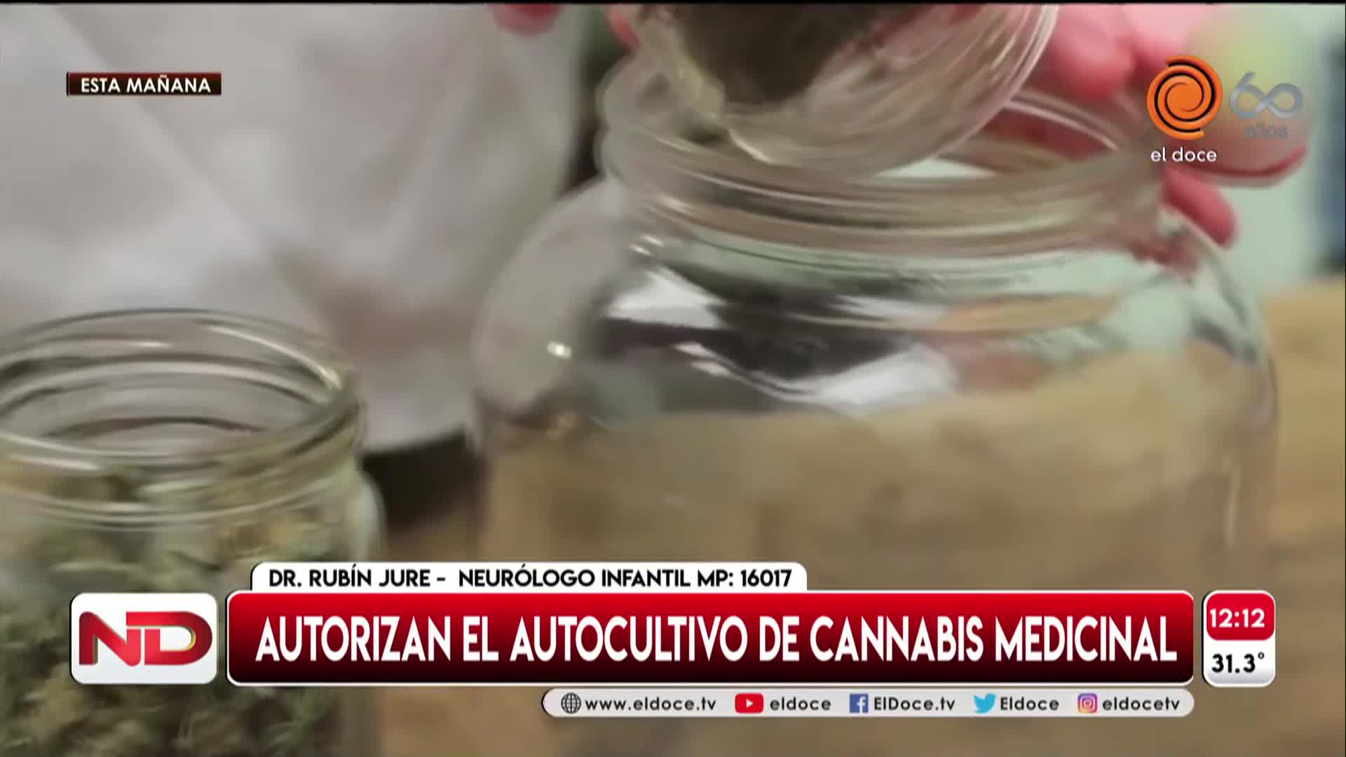 Cannabis medicinal: un neurólogo planteó dudas sobre su uso