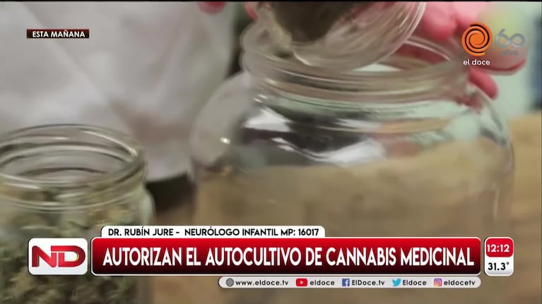 Cannabis medicinal: un neurólogo planteó dudas sobre su uso