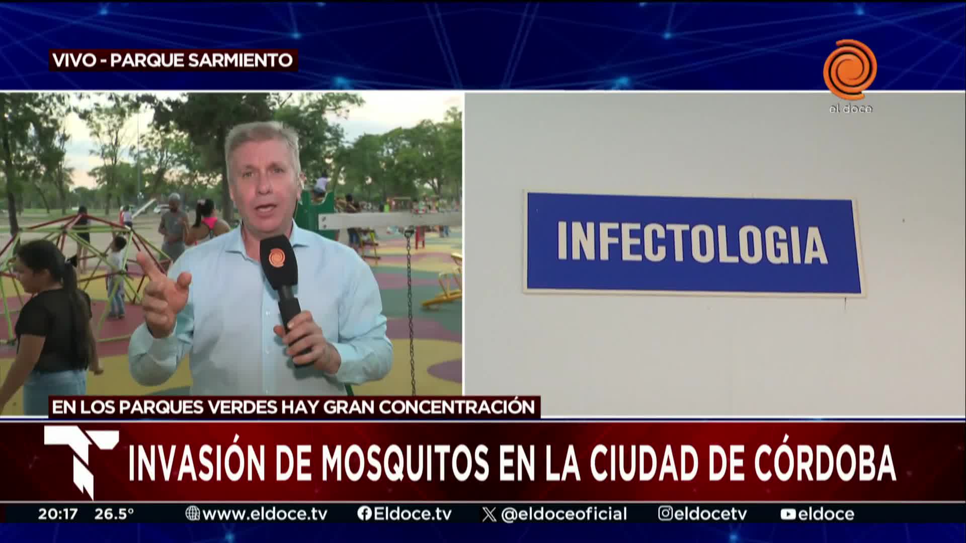 Alerta en Córdoba por una invasión de mosquitos