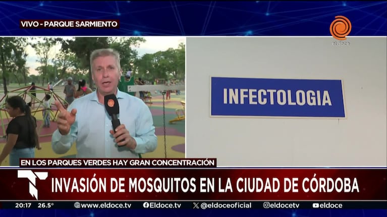 Alerta en Córdoba por una invasión de mosquitos