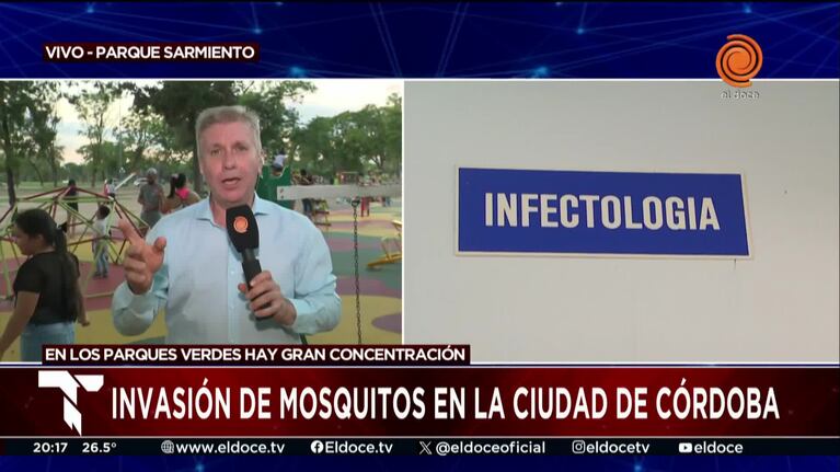 Alerta en Córdoba por una invasión de mosquitos