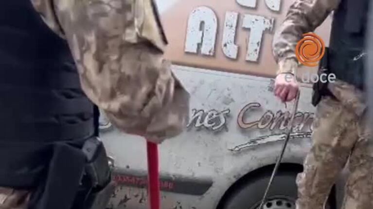 Rescataron a la víbora que apareció en el tablero de un auto