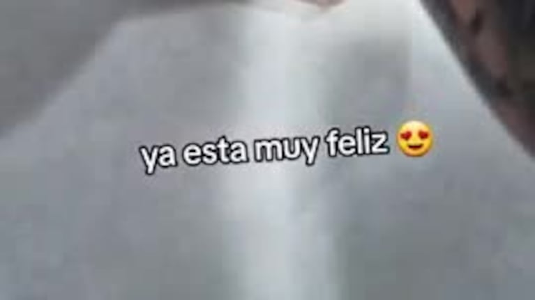 El usuario que rescató al perrito en la ruta hizo un gran anuncio