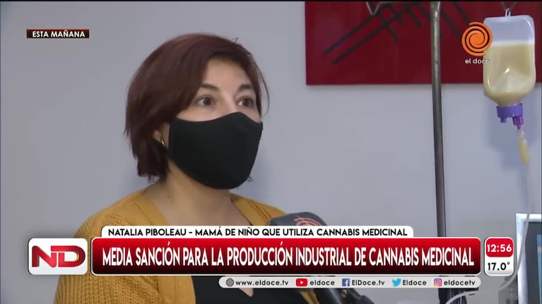 Media sanción a la producción de cannabis medicinal: qué significa para quienes lo utilizan