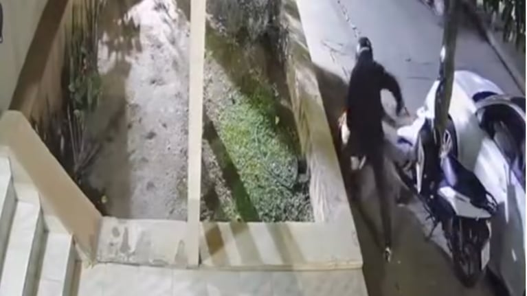 Le robaron en medio de forcejeos, piñas y patadas