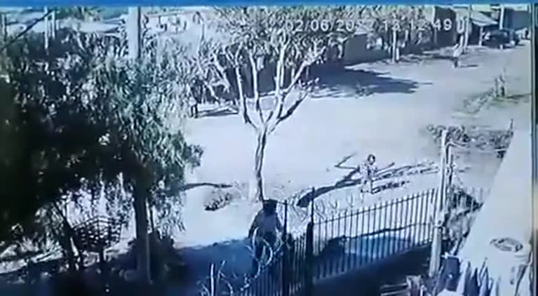 El momento en el que un caballo embistió a una mujer