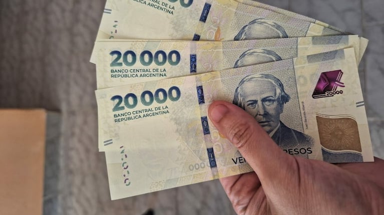 El billete de 20 mil pesos cumpió un año: para cuánto alcanzaba en 2024 y para cuánto alcanza ahora