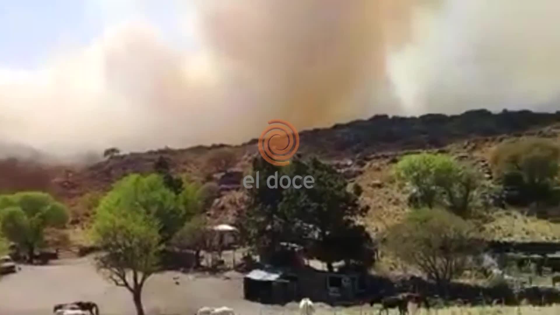 Incendios: el drama de una madre y su hijo