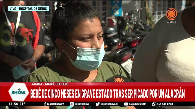 Lo picó un alacrán y está grave en el Hospital de Niños