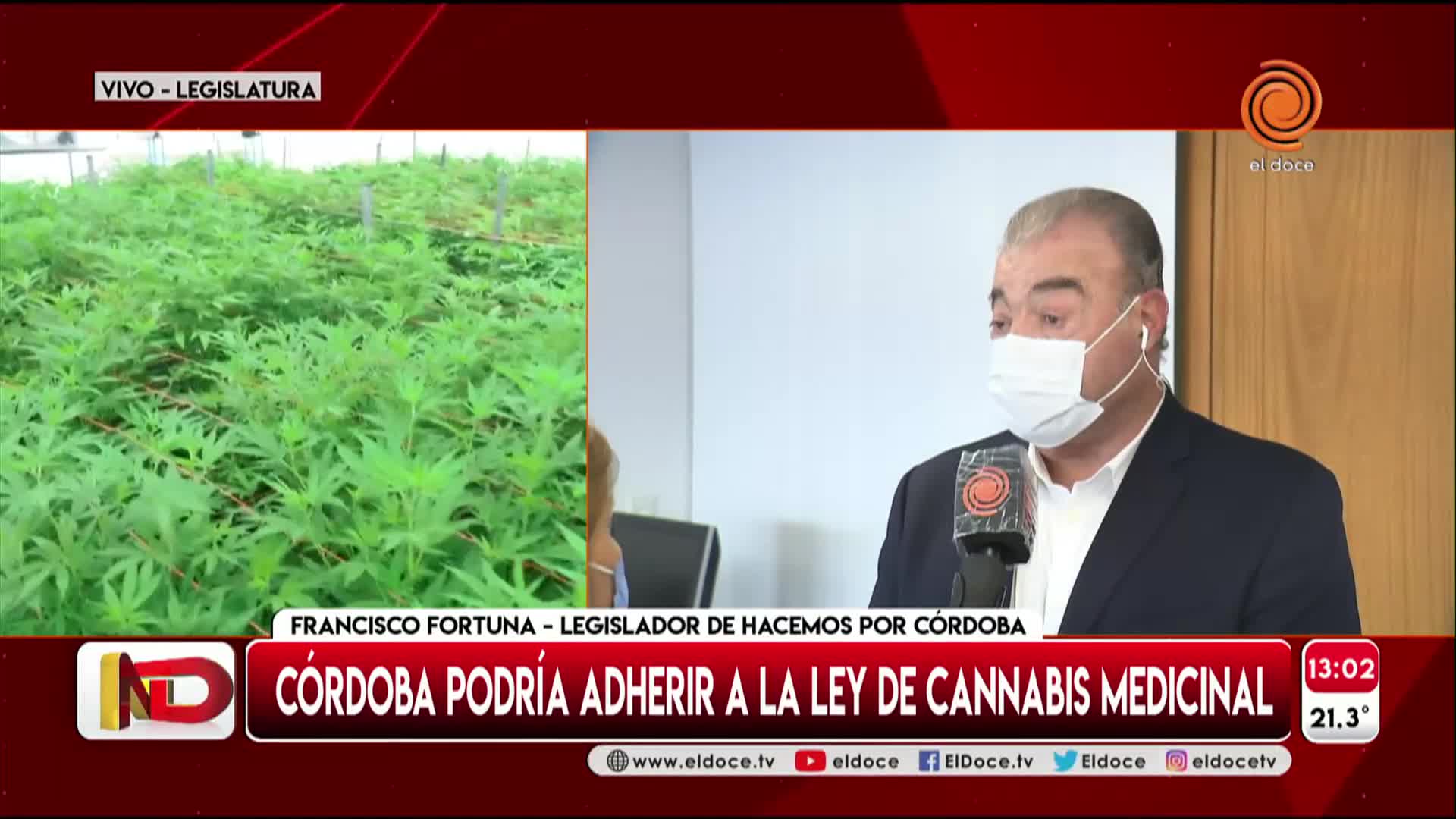 Cannabis medicinal: qué implica la adhesión de Córdoba a la ley