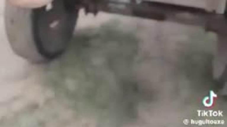 Por la sequía, ayudó a un hornero a hacer su nido