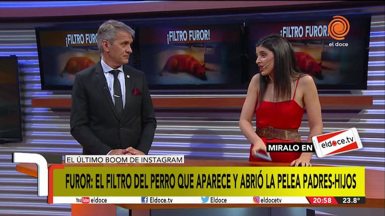 ¡Furor en Instagram! El perro del que habla todo el mundo
