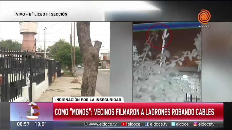 Se trepan a los postes y roban los cables: "No sé cómo hicieron para subir"