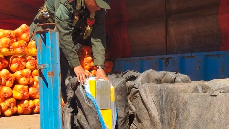 Así encontraron más de 860 kilos de cocaína entre los zapallos: tres detenidos