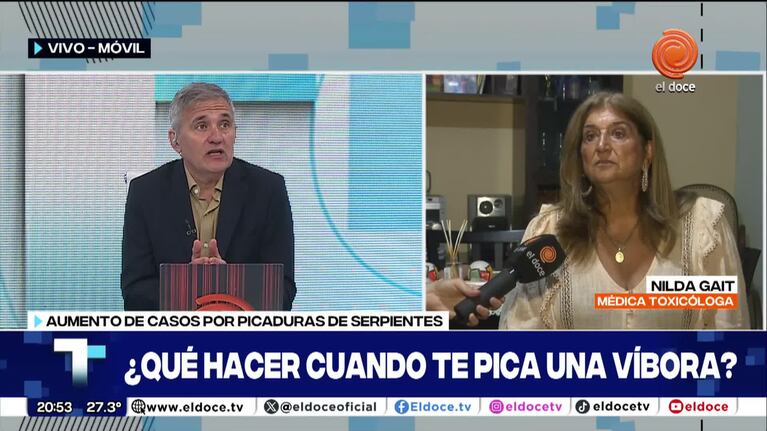 Incremento en Córdoba de las mordeduras de serpientes