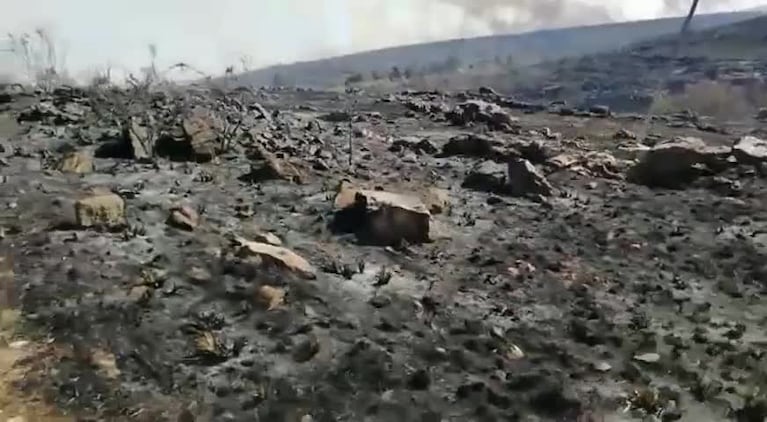 Incendios: así quedó un barrio de Villa Giardino