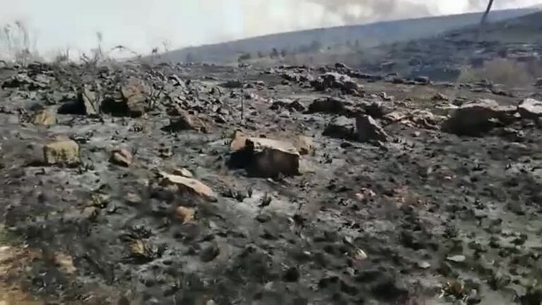 Incendios: así quedó un barrio de Villa Giardino
