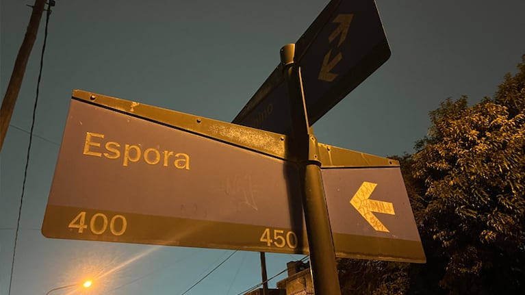 El pesar de los vecinos que sufren los robos de “la Banda de la Espora”: “No se puede dormir”