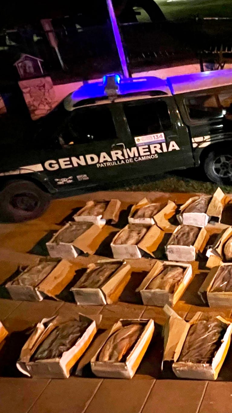 Una tonelada de pescados fuera de regla