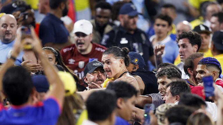 Darwin Núñez se metió a la tribuna y se peleó a puño limpio con hinchas colombianos