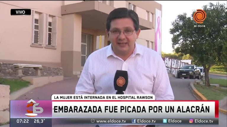 Embarazada fue picada por un alacrán