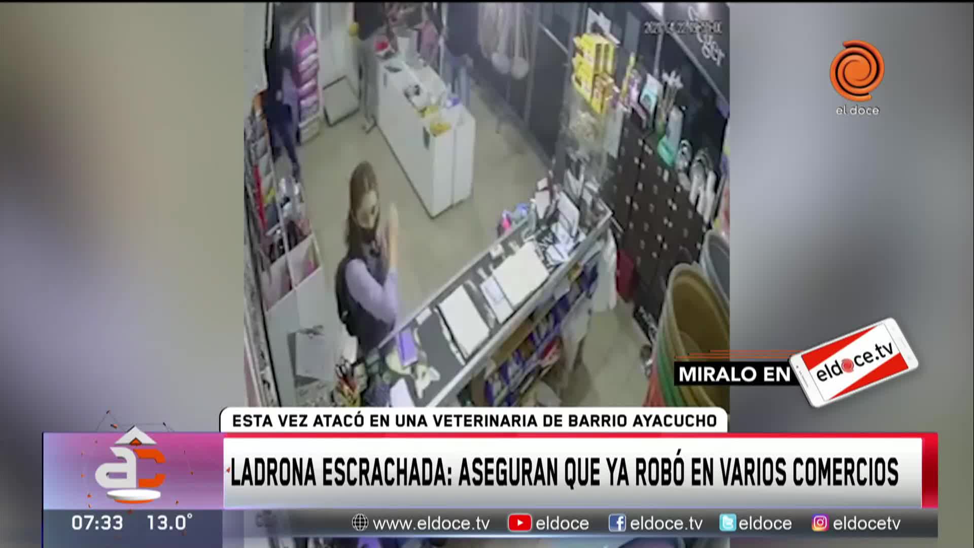 Robos en barrio Ayacucho: escrachan a una ladrona