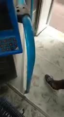 Abrieron un matafuego en pleno colectivo