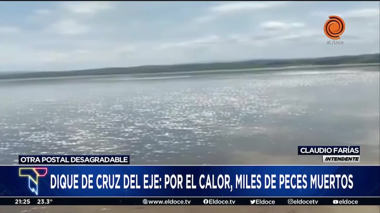 Preocupación en Cruz del Eje por miles de peces muertos en el dique