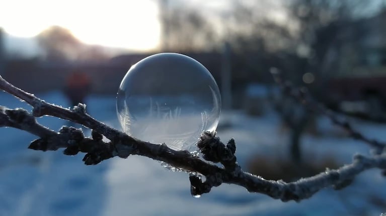El fascinante fenómeno de la burbuja congelada
