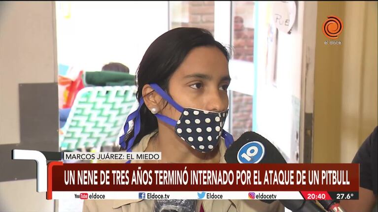 Un pitbull atacó a un nene de 3 años: "Es la segunda vez que pasa"