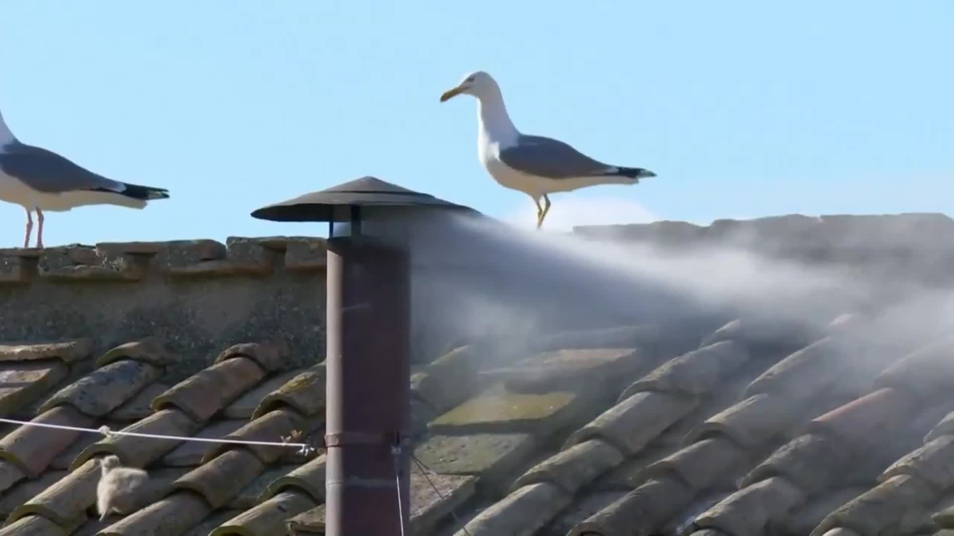 La fumata blanca de la chimenea de la Capilla Sixtina tras la cuarta votación de los cardenales
