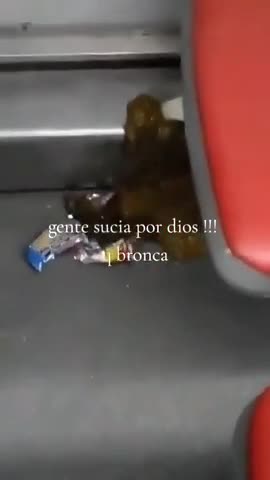 Defecaron en un colectivo