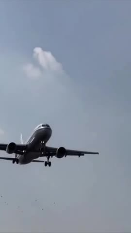 Se viralizó video de avión que embistió a una bandada de pájaros en pleno vuelo. 