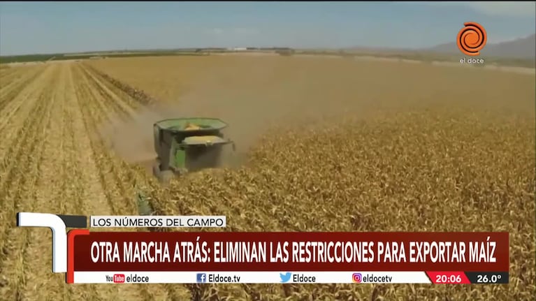 Marcha atrás del Gobierno: eliminarán las restricciones para exportar maíz