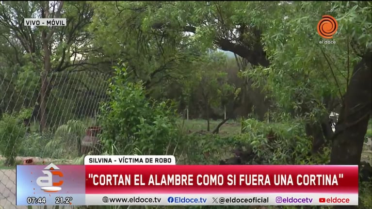 Salieron a cenar y le desvalijaron la casa en 6 minutos