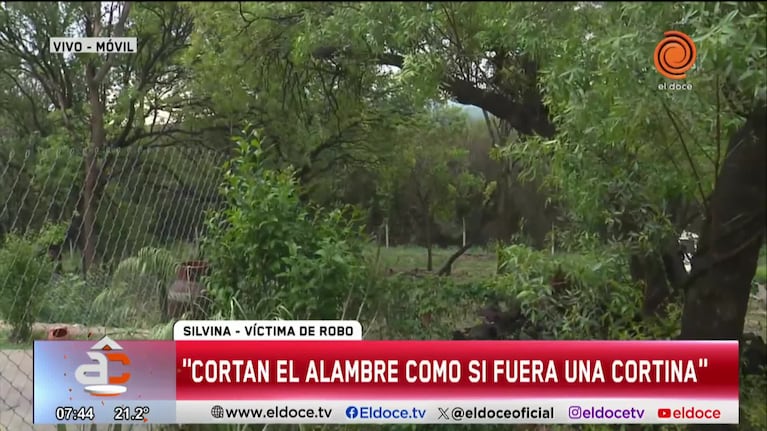 Salieron a cenar y le desvalijaron la casa en 6 minutos